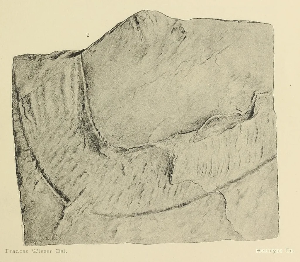 An illustration from Harriman Alaska series. vol. I-V, VIII-XIV, 1910, leaf 245