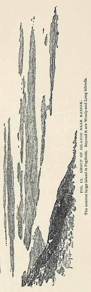 An illustration from Harriman Alaska series. vol. I-V, VIII-XIV, 1910, leaf 94