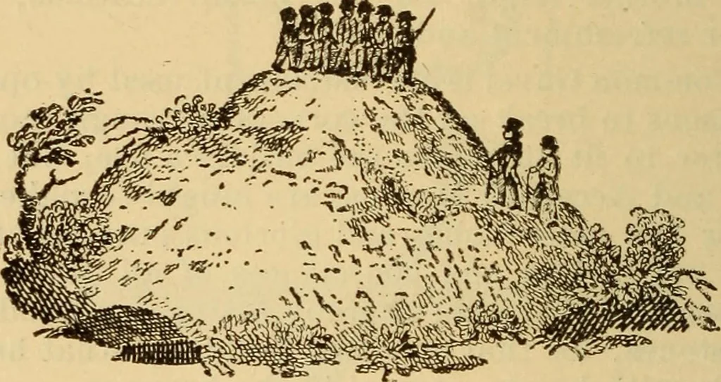 An illustration from Harris' masonic text-book; a concise historical sketch of masonry, and the organization of masonic grand lodges, and especially of masonry among colored men in America .., 1902, leaf 157