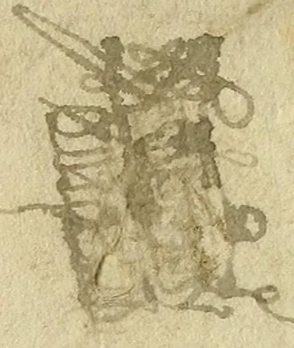 An illustration from Hassagoth shel ha-Ramban... : [in Hebrew], leaf 284