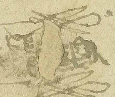 An illustration from Hassagoth shel ha-Ramban... : [in Hebrew], leaf 284