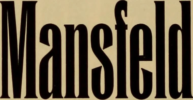 An illustration from Hauptprobe in gedrängter form der Bauerschen Giesserei, Frankfurt am Main: Filialen in Barcelona und Madrid, A. Numrich & Co. in Leipzig, 1900, leaf 102