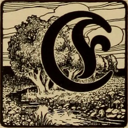 An illustration from Hauptprobe in gedrängter form der Bauerschen Giesserei, Frankfurt am Main: Filialen in Barcelona und Madrid, A. Numrich & Co. in Leipzig, 1900, leaf 124