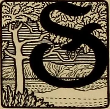 An illustration from Hauptprobe in gedrängter form der Bauerschen Giesserei, Frankfurt am Main: Filialen in Barcelona und Madrid, A. Numrich & Co. in Leipzig, 1900, leaf 124