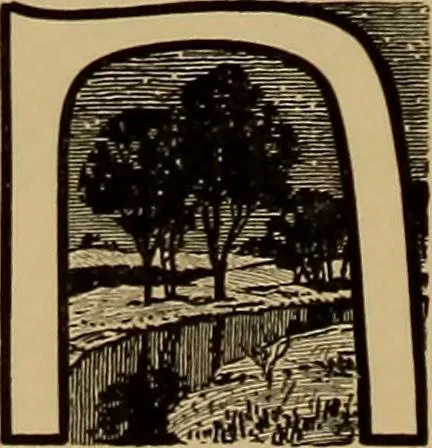 An illustration from Hauptprobe in gedrängter form der Bauerschen Giesserei, Frankfurt am Main: Filialen in Barcelona und Madrid, A. Numrich & Co. in Leipzig, 1900, leaf 132