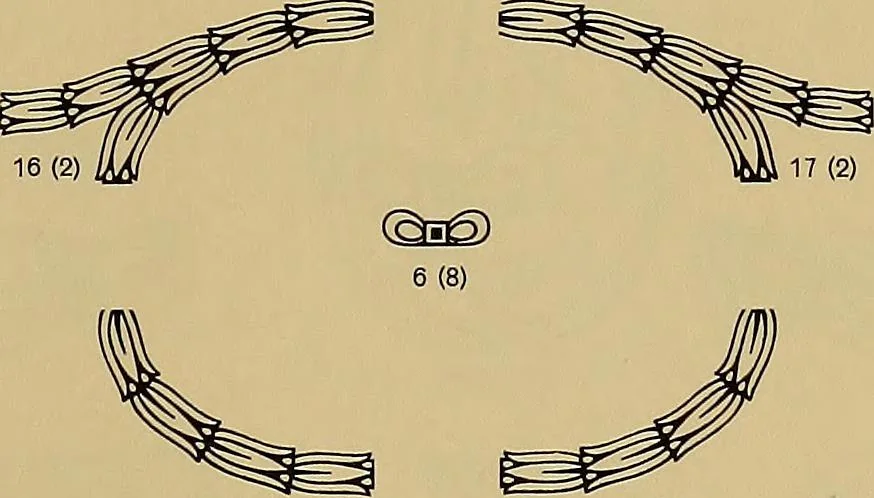 An illustration from Hauptprobe in gedrängter form der Bauerschen Giesserei, Frankfurt am Main: Filialen in Barcelona und Madrid, A. Numrich & Co. in Leipzig, 1900, leaf 255