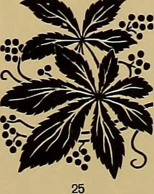 An illustration from Hauptprobe in gedrängter form der Bauerschen Giesserei, Frankfurt am Main: Filialen in Barcelona und Madrid, A. Numrich & Co. in Leipzig, 1900, leaf 285
