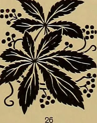 An illustration from Hauptprobe in gedrängter form der Bauerschen Giesserei, Frankfurt am Main: Filialen in Barcelona und Madrid, A. Numrich & Co. in Leipzig, 1900, leaf 285