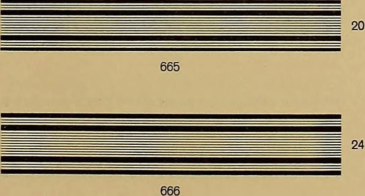 An illustration from Hauptprobe in gedrängter form der Bauerschen Giesserei, Frankfurt am Main: Filialen in Barcelona und Madrid, A. Numrich & Co. in Leipzig, 1900, leaf 301