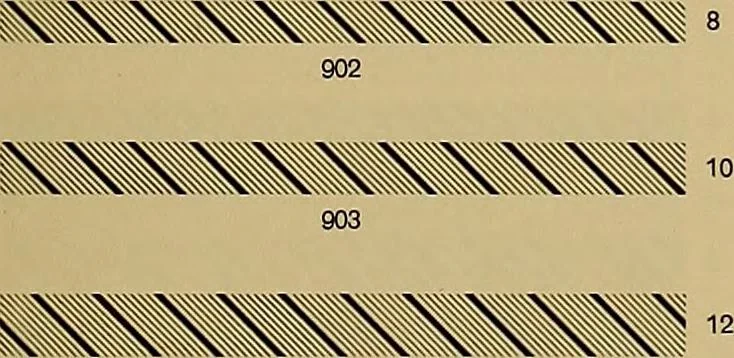 An illustration from Hauptprobe in gedrängter form der Bauerschen Giesserei, Frankfurt am Main: Filialen in Barcelona und Madrid, A. Numrich & Co. in Leipzig, 1900, leaf 303