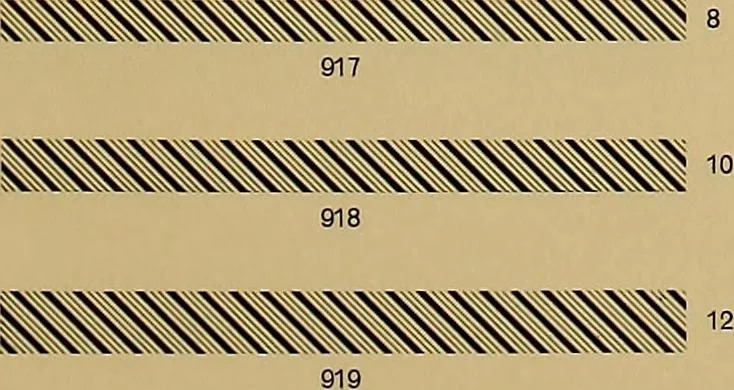 An illustration from Hauptprobe in gedrängter form der Bauerschen Giesserei, Frankfurt am Main: Filialen in Barcelona und Madrid, A. Numrich & Co. in Leipzig, 1900, leaf 303