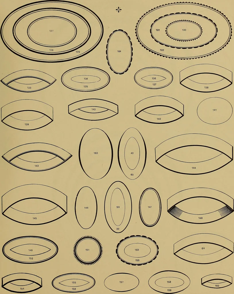 An illustration from Hauptprobe in gedrängter form der Bauerschen Giesserei, Frankfurt am Main: Filialen in Barcelona und Madrid, A. Numrich & Co. in Leipzig, 1900, leaf 321