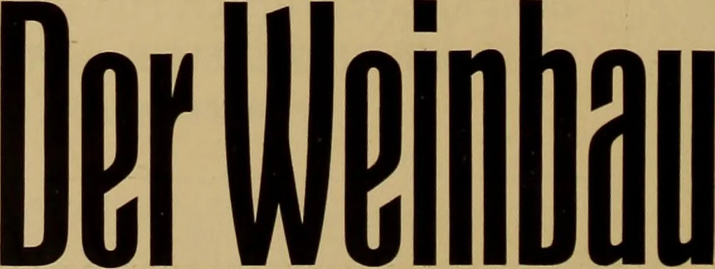 An illustration from Hauptprobe in gedrängter form der Bauerschen Giesserei, Frankfurt am Main: Filialen in Barcelona und Madrid, A. Numrich & Co. in Leipzig, 1900, leaf 90