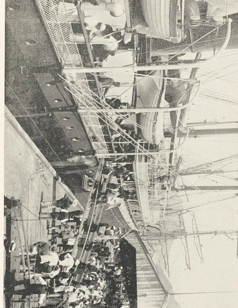 An illustration from The Hawaiian Islands, their resources, agricultural, commercial and financial. Coffee, the coming staple product, 1896, leaf 55