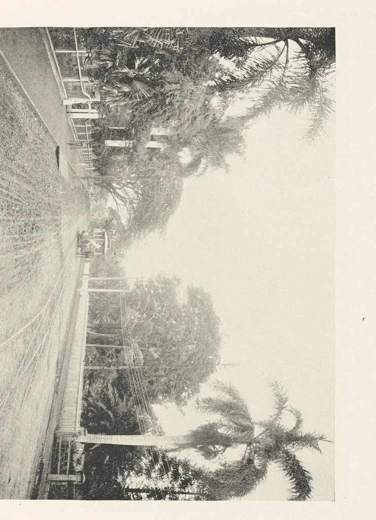An illustration from The Hawaiian Islands, their resources, agricultural, commercial and financial. Coffee, the coming staple product, 1896, leaf 75