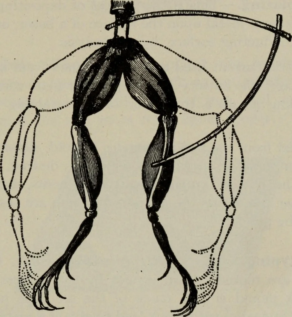 An illustration from Hawkins electrical guide ... : questions, answers & illustrations : a progressive course of study for engineers, electricians, students and those desiring to acquire a working knowledge of electricity and its applications ; a practical treatise, 1914, leaf 123