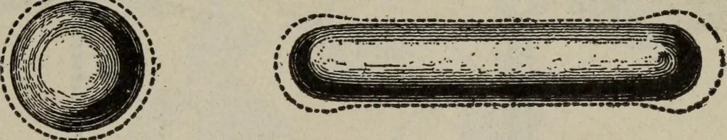 An illustration from Hawkins electrical guide ... : questions, answers & illustrations : a progressive course of study for engineers, electricians, students and those desiring to acquire a working knowledge of electricity and its applications ; a practical treatise, 1914, leaf 29
