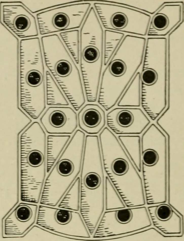 An illustration from Hawkins electrical guide. Questions, answers & illustrations; a progressive course of study for engineers, electricians, students and those desiring to acquire a working knowledge of electricity and its applications; a practical treatise, 1914, leaf 192
