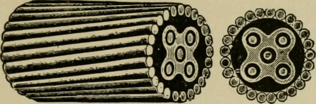 An illustration from Hawkins electrical guide. Questions, answers & illustrations; a progressive course of study for engineers, electricians, students and those desiring to acquire a working knowledge of electricity and its applications; a practical treatise, 1914, leaf 41