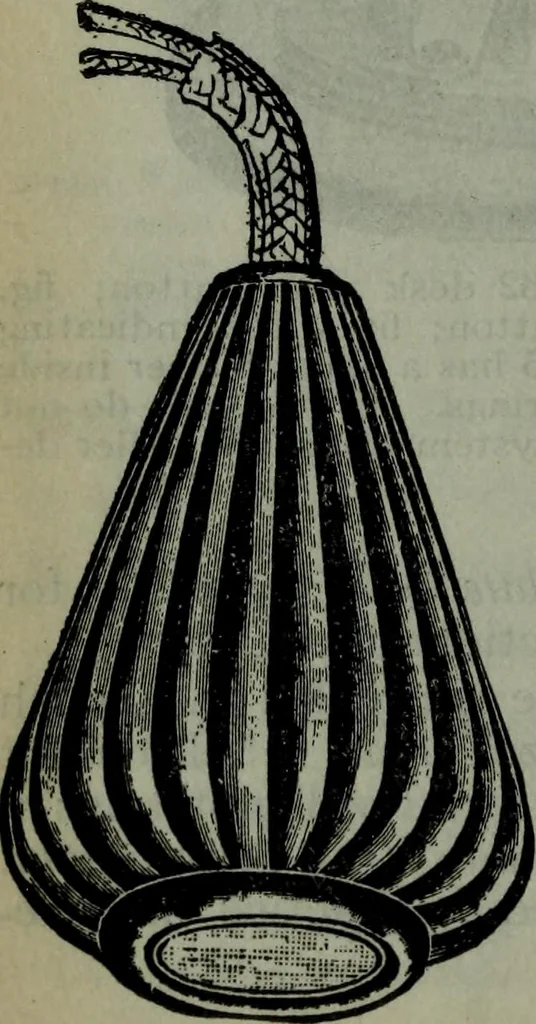 An illustration from Hawkins electrical guide ... : questions, answers & illustrations : a progressive course of study for engineers, electricians, students and those desiring to acquire a working knowledge of electricity and its applications ; a practical treatise, 1914, leaf 289