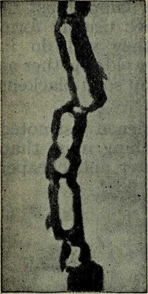 An illustration from Hawkins electrical guide ... : questions, answers & illustrations : a progressive course of study for engineers, electricians, students and those desiring to acquire a working knowledge of electricity and its applications ; a practical treatise, 1914, leaf 405