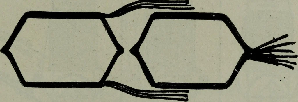 An illustration from Hawkins electrical guide ... : questions, answers & illustrations : a progressive course of study for engineers, electricians, students and those desiring to acquire a working knowledge of electricity and its applications ; a practical treatise, 1914, leaf 149