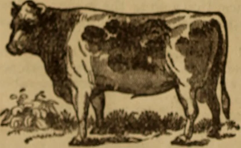 An illustration from Health and character: with directions for their improvement, 1879, leaf 20