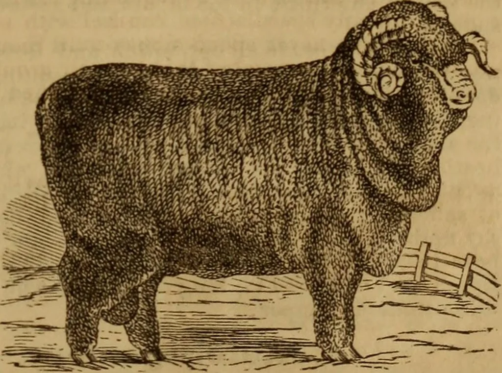 An illustration from Health and character: with directions for their improvement, 1879, leaf 21