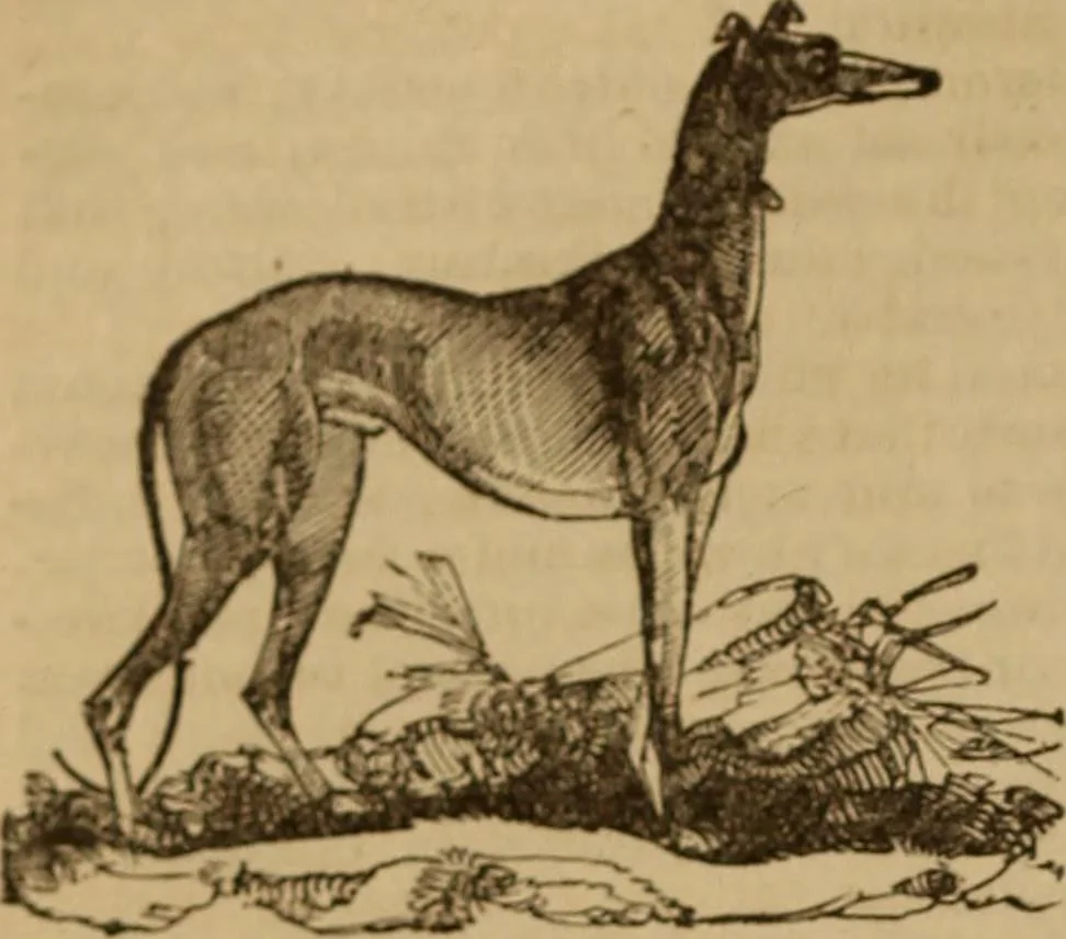 An illustration from Health and character: with directions for their improvement, 1879, leaf 24