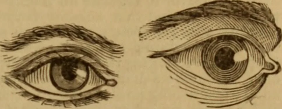 An illustration from Health and character: with directions for their improvement, 1879, leaf 31