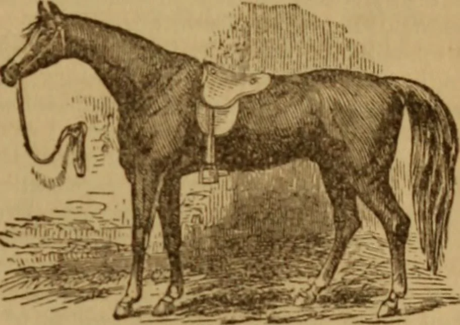 An illustration from Health and character: with directions for their improvement, 1879, leaf 45