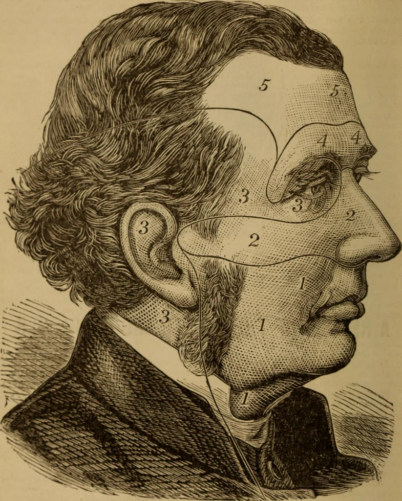 An illustration from Health and character: with directions for their improvement, 1879, leaf 8