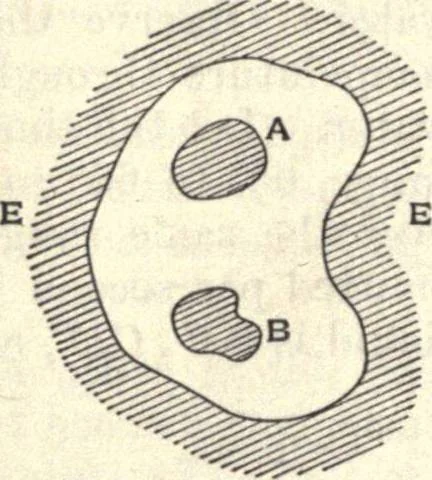 An illustration from Heat and light; an elementary text-book theoretical and practical for schools and colleges, 1897, leaf 221