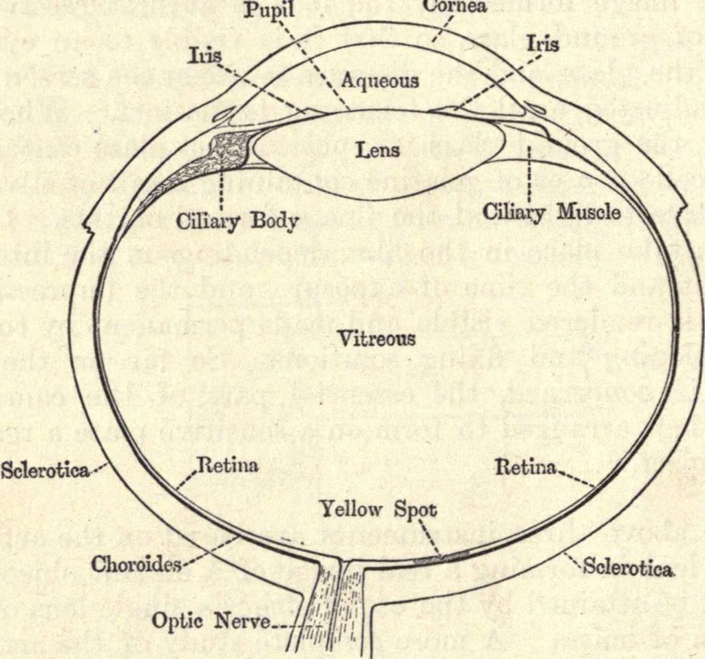 An illustration from Heat and light; an elementary text-book theoretical and practical for schools and colleges, 1897, leaf 379
