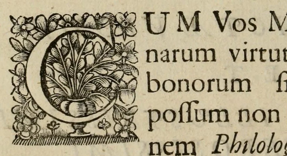 An illustration from Philologus Hebraeo-mixtus : unà cum spicilegio philologico, continente decem quaestionum & positionum praecipuè philologico-Hebraicarum & Judaicarum centurias, 1699, leaf 10