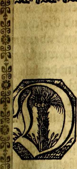 An illustration from Heilig-epistolischer Bericht, Licht, Geleit, und Freud. Das ist : Emblematische Fürstllung der heiligen Sonn- und festtäglichen Episteln; in welcher gründlicher Bericht von den rechten Wort-Verstand ertheilet, dem wahren Christenthum ein helles licht furgetragen, und ein sicheres Geleit mit beigefügten Gebeten und Gesängen zu der himmlischen Freude gezeiget wird, 1663, leaf 1070