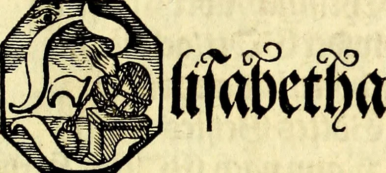 An illustration from Heilig-epistolischer Bericht, Licht, Geleit, und Freud. Das ist : Emblematische Fürstllung der heiligen Sonn- und festtäglichen Episteln; in welcher gründlicher Bericht von den rechten Wort-Verstand ertheilet, dem wahren Christenthum ein helles licht furgetragen, und ein sicheres Geleit mit beigefügten Gebeten und Gesängen zu der himmlischen Freude gezeiget wird, 1663, leaf 14