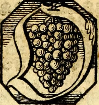 An illustration from Heilig-epistolischer Bericht, Licht, Geleit, und Freud. Das ist : Emblematische Fürstllung der heiligen Sonn- und festtäglichen Episteln; in welcher gründlicher Bericht von den rechten Wort-Verstand ertheilet, dem wahren Christenthum ein helles licht furgetragen, und ein sicheres Geleit mit beigefügten Gebeten und Gesängen zu der himmlischen Freude gezeiget wird, 1663, leaf 255