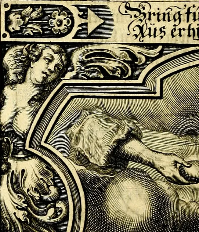 An illustration from Heilig-epistolischer Bericht, Licht, Geleit, und Freud. Das ist : Emblematische Fürstllung der heiligen Sonn- und festtäglichen Episteln; in welcher gründlicher Bericht von den rechten Wort-Verstand ertheilet, dem wahren Christenthum ein helles licht furgetragen, und ein sicheres Geleit mit beigefügten Gebeten und Gesängen zu der himmlischen Freude gezeiget wird, 1663, leaf 263