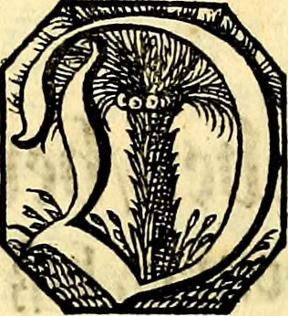 An illustration from Heilig-epistolischer Bericht, Licht, Geleit, und Freud. Das ist : Emblematische Fürstllung der heiligen Sonn- und festtäglichen Episteln; in welcher gründlicher Bericht von den rechten Wort-Verstand ertheilet, dem wahren Christenthum ein helles licht furgetragen, und ein sicheres Geleit mit beigefügten Gebeten und Gesängen zu der himmlischen Freude gezeiget wird, 1663, leaf 739