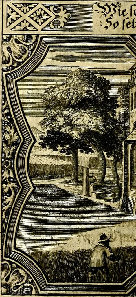 An illustration from Heilig-epistolischer Bericht, Licht, Geleit, und Freud. Das ist : Emblematische Fürstllung der heiligen Sonn- und festtäglichen Episteln; in welcher gründlicher Bericht von den rechten Wort-Verstand ertheilet, dem wahren Christenthum ein helles licht furgetragen, und ein sicheres Geleit mit beigefügten Gebeten und Gesängen zu der himmlischen Freude gezeiget wird, 1663, leaf 759