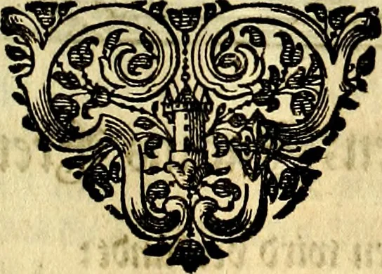 An illustration from Heilig-epistolischer Bericht, Licht, Geleit, und Freud. Das ist : Emblematische Fürstllung der heiligen Sonn- und festtäglichen Episteln; in welcher gründlicher Bericht von den rechten Wort-Verstand ertheilet, dem wahren Christenthum ein helles licht furgetragen, und ein sicheres Geleit mit beigefügten Gebeten und Gesängen zu der himmlischen Freude gezeiget wird, 1663, leaf 772