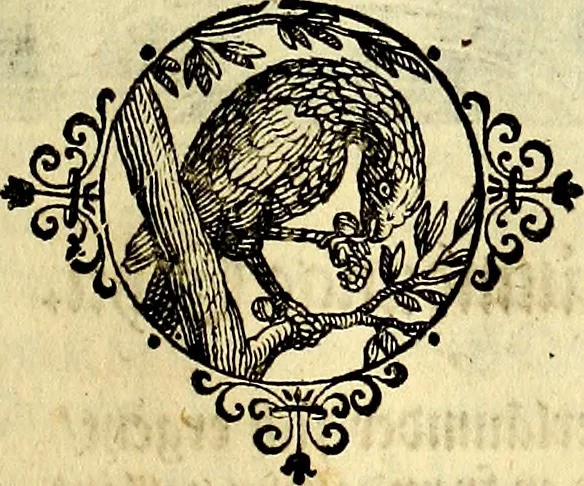 An illustration from Heilig-epistolischer Bericht, Licht, Geleit, und Freud. Das ist : Emblematische Fürstllung der heiligen Sonn- und festtäglichen Episteln; in welcher gründlicher Bericht von den rechten Wort-Verstand ertheilet, dem wahren Christenthum ein helles licht furgetragen, und ein sicheres Geleit mit beigefügten Gebeten und Gesängen zu der himmlischen Freude gezeiget wird, 1663, leaf 790