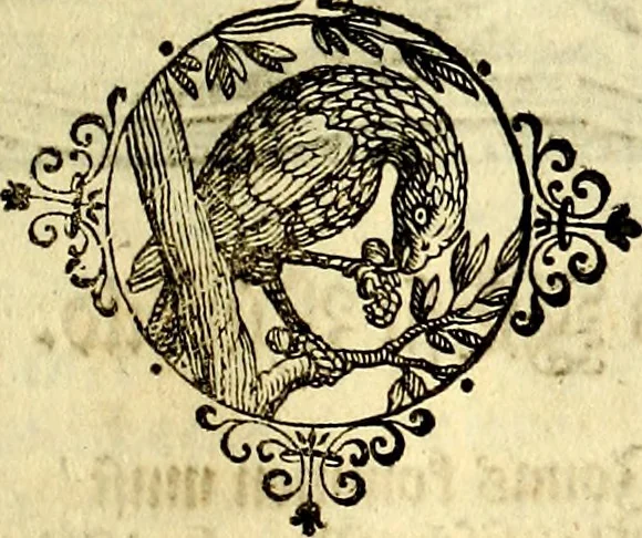 An illustration from Heilig-epistolischer Bericht, Licht, Geleit, und Freud. Das ist : Emblematische Fürstllung der heiligen Sonn- und festtäglichen Episteln; in welcher gründlicher Bericht von den rechten Wort-Verstand ertheilet, dem wahren Christenthum ein helles licht furgetragen, und ein sicheres Geleit mit beigefügten Gebeten und Gesängen zu der himmlischen Freude gezeiget wird, 1663, leaf 798
