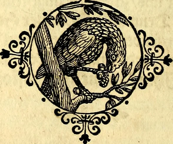 An illustration from Heilig-epistolischer Bericht, Licht, Geleit, und Freud. Das ist : Emblematische Fürstllung der heiligen Sonn- und festtäglichen Episteln; in welcher gründlicher Bericht von den rechten Wort-Verstand ertheilet, dem wahren Christenthum ein helles licht furgetragen, und ein sicheres Geleit mit beigefügten Gebeten und Gesängen zu der himmlischen Freude gezeiget wird, 1663, leaf 839