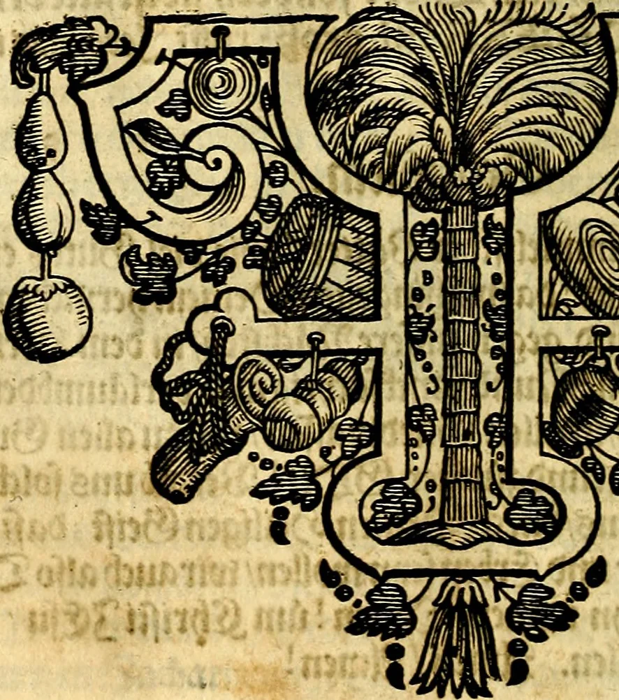 An illustration from Heilig-epistolischer Bericht, Licht, Geleit, und Freud. Das ist : Emblematische Fürstllung der heiligen Sonn- und festtäglichen Episteln; in welcher gründlicher Bericht von den rechten Wort-Verstand ertheilet, dem wahren Christenthum ein helles licht furgetragen, und ein sicheres Geleit mit beigefügten Gebeten und Gesängen zu der himmlischen Freude gezeiget wird, 1663, leaf 847