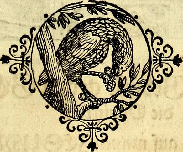 An illustration from Heilig-epistolischer Bericht, Licht, Geleit, und Freud. Das ist : Emblematische Fürstllung der heiligen Sonn- und festtäglichen Episteln; in welcher gründlicher Bericht von den rechten Wort-Verstand ertheilet, dem wahren Christenthum ein helles licht furgetragen, und ein sicheres Geleit mit beigefügten Gebeten und Gesängen zu der himmlischen Freude gezeiget wird, 1663, leaf 922