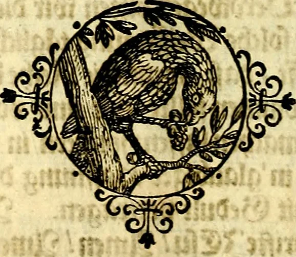 An illustration from Heilig-epistolischer Bericht, Licht, Geleit, und Freud. Das ist : Emblematische Fürstllung der heiligen Sonn- und festtäglichen Episteln; in welcher gründlicher Bericht von den rechten Wort-Verstand ertheilet, dem wahren Christenthum ein helles licht furgetragen, und ein sicheres Geleit mit beigefügten Gebeten und Gesängen zu der himmlischen Freude gezeiget wird, 1663, leaf 967