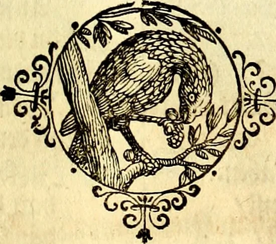 An illustration from Heilig-epistolischer Bericht, Licht, Geleit, und Freud. Das ist : Emblematische Fürstllung der heiligen Sonn- und festtäglichen Episteln; in welcher gründlicher Bericht von den rechten Wort-Verstand ertheilet, dem wahren Christenthum ein helles licht furgetragen, und ein sicheres Geleit mit beigefügten Gebeten und Gesängen zu der himmlischen Freude gezeiget wird, 1663, leaf 982