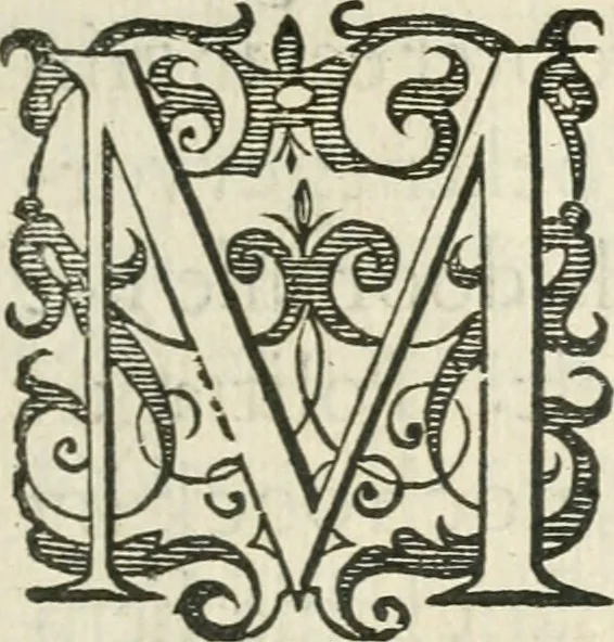 An illustration from Dan. Heinsii Nederduytsche poemata, 1618, leaf 10